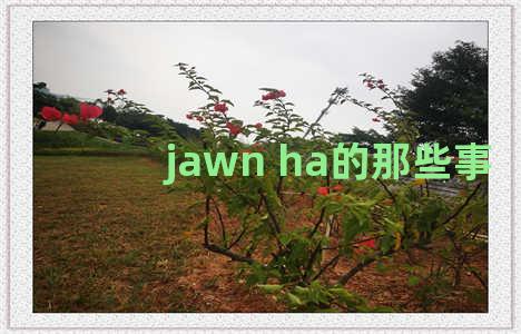 jawn ha的那些事